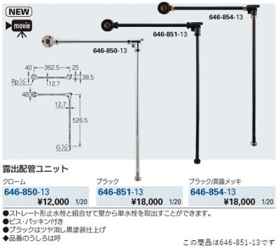 画像2: 水栓金具 カクダイ　646-851-13　露出配管ユニット//ブラック [□]