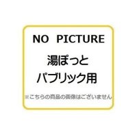 電気温水器 TOTO　REW25C2BK　湯ぽっと パブリック 洗面・手洗い用 約25L 据え置きタイプ 先止め式 [■]